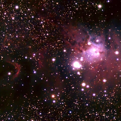 NGC2264