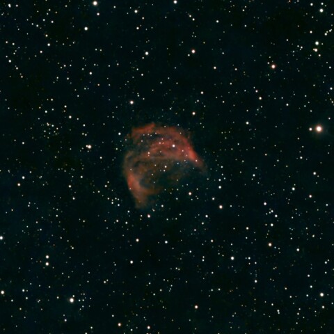 Sh2-274 メデューサ星雲