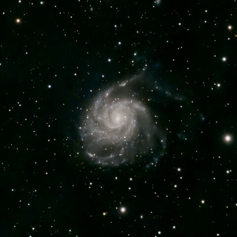 M101