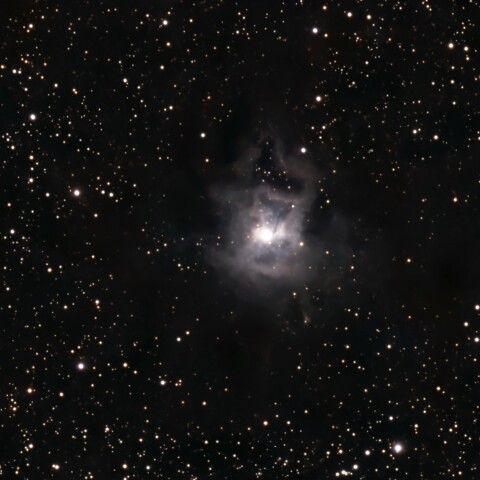 NGC7023  アイリス星雲