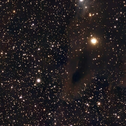 LDN1235 シャーク星雲の頭