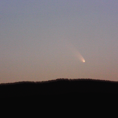 １１日のパンスターズ彗星