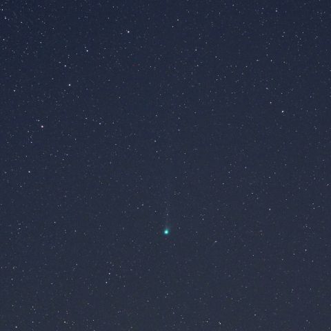 マックノート彗星