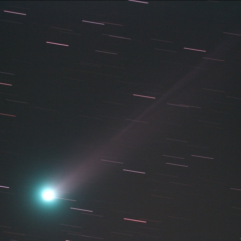 11月23日ラヴジョイ彗星