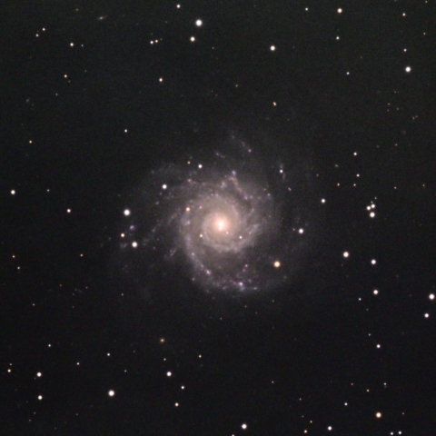 M74