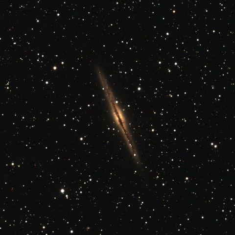 NGC891