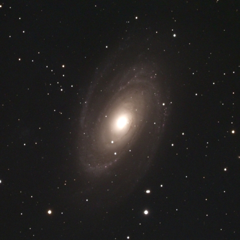 Ｍ８１