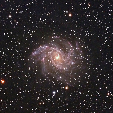 NGC6946　花火銀河