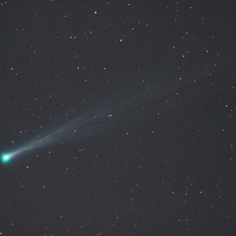 11月16日アイソン彗星