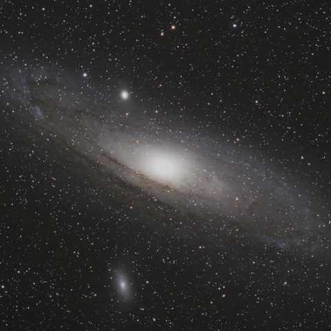 M31