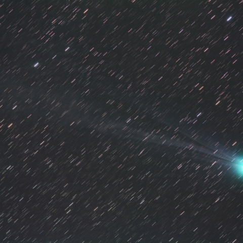 ﾗｳﾞｼﾞｮｲ彗星