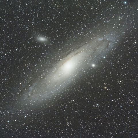 M31