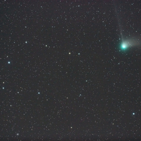 カタリナ彗星とM101