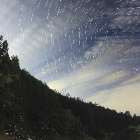 北天の空と蛍