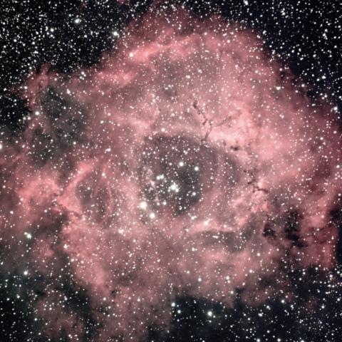 タカハシ　TSA-120 バラ星雲