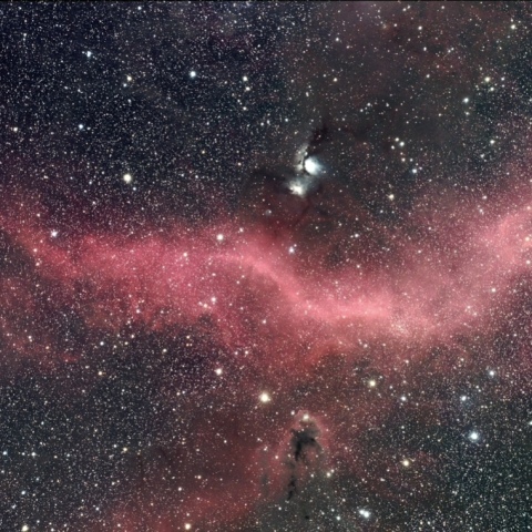 タカハシ　FCT-65D バーナードループ