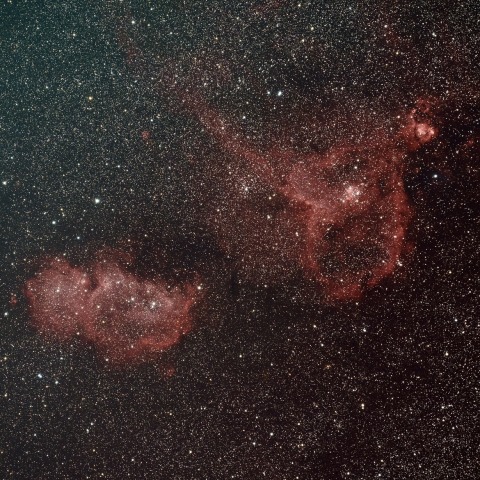 タカハシ　FCT-65D ハート星雲　金魚星雲