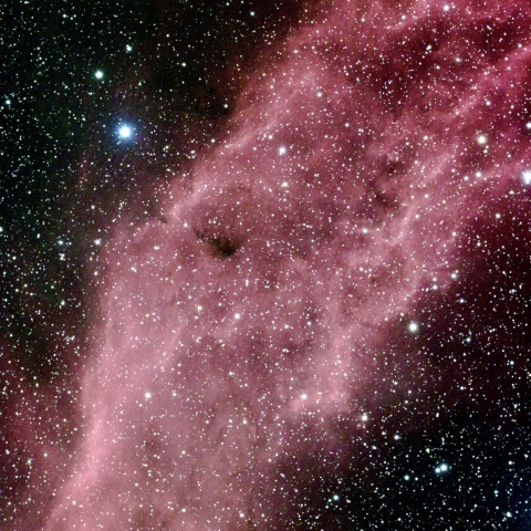 タカハシ　TSA-120 カリフォルニア星雲