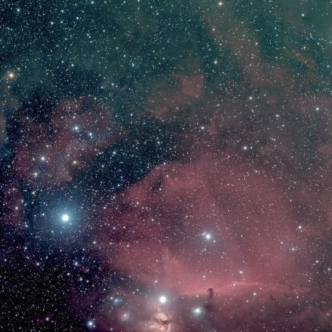 タカハシ FSQ-106ED 馬頭星雲