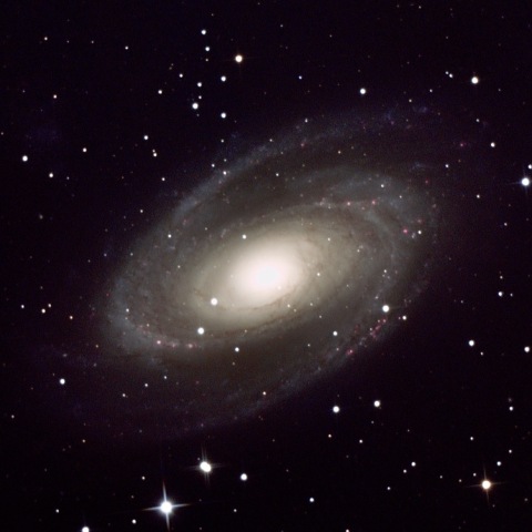 タカハシ　ミューロン２１０