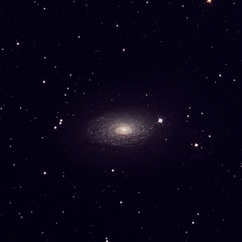 ビクセン　Ｒ２００ＳＳ