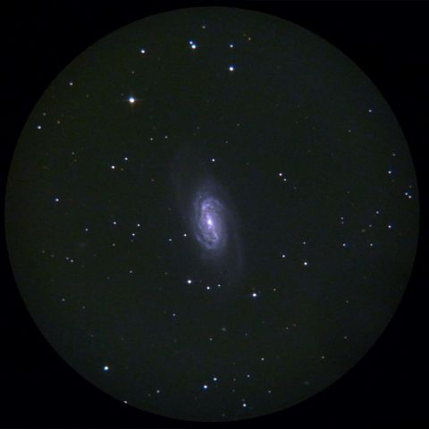 縮小コリメート法によるNGC2903