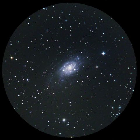 縮小コリメート法によるNGC2403