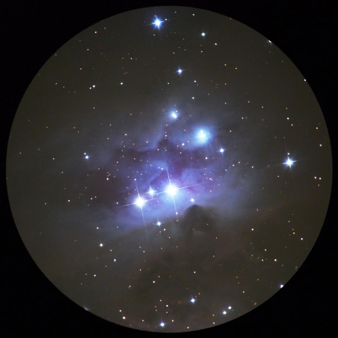 縮小コリメート法によるNGC1979