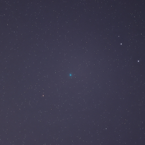 11月1日のレモン彗星（C／2023 H2）