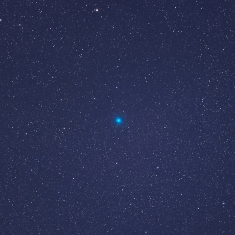 11月11日のレモン彗星（C／2023 H2）