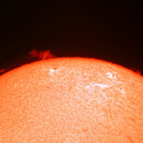 11月13日のプロミネンス