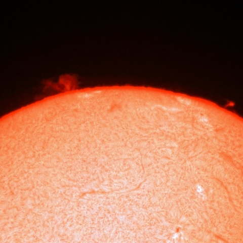 11月14日のプロミネンス