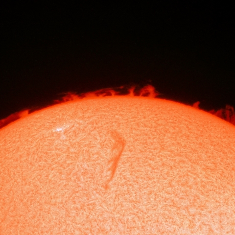 11月16日のプロミネンス