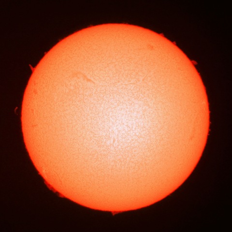 11月18日の太陽面（Ｈα像）