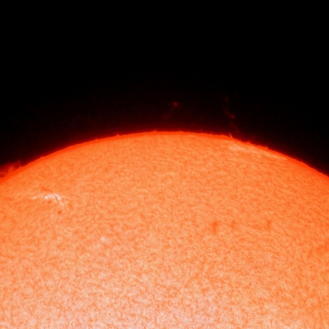 11月19日のプロミネンス