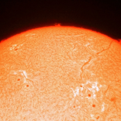 11月24日のプロミネンス