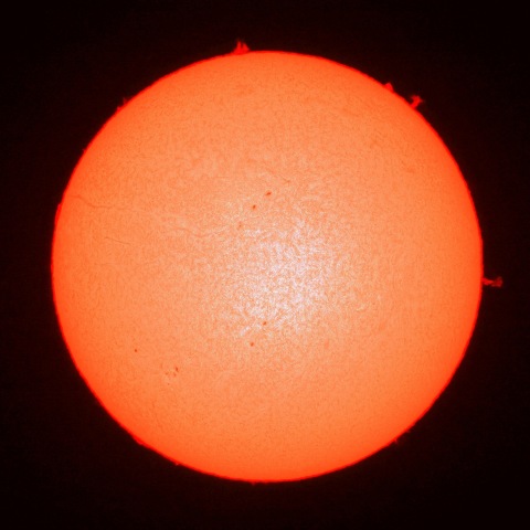 11月26日の太陽面（Ｈα像）