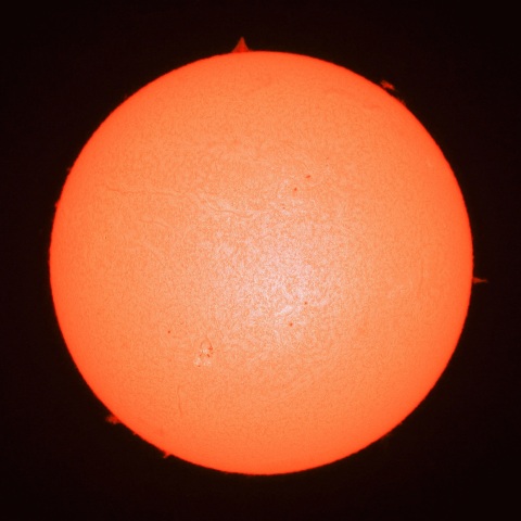 11月27日の太陽面（Ｈα像）