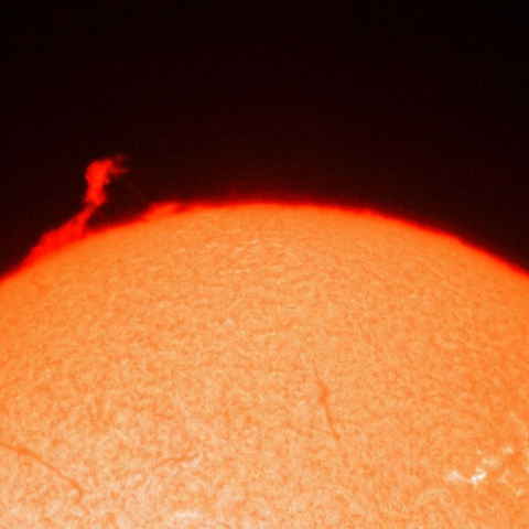 11月28日のプロミネンス