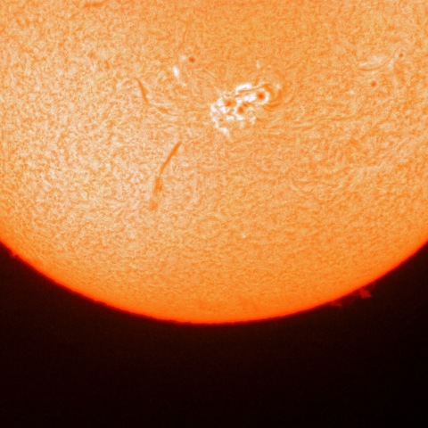 11月29日のプロミネンス