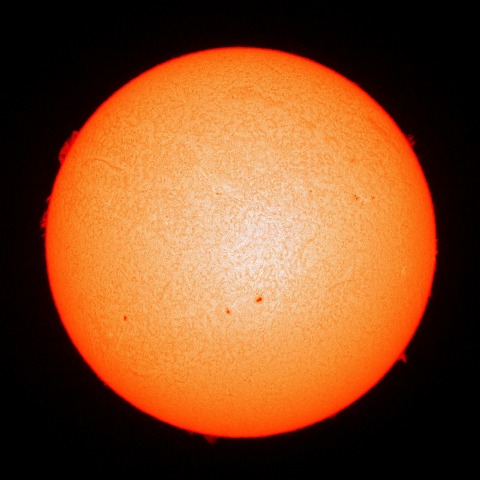 12月23日の太陽面（Ｈα像）