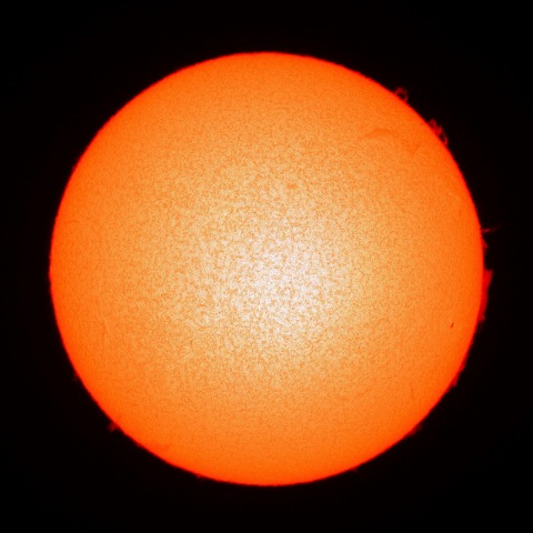 12月31日の太陽面（Ｈα像）