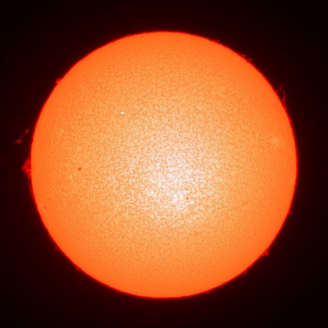 １月１２日の太陽面（Ｈα像）