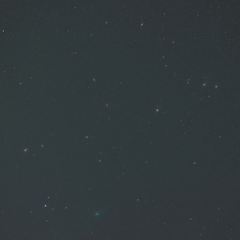 おとめ座銀河団の中をゆく紫金山第１彗星