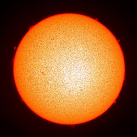 ２月８日の太陽面（Ｈα像）