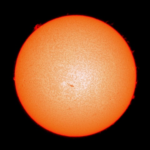 ２月１０日の太陽面（Ｈα像）