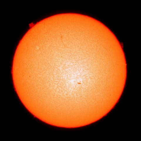 ２月１１日の太陽面（Ｈα像）