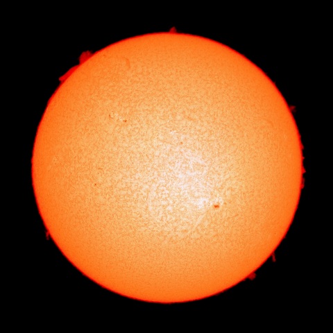 ２月１２日の太陽面（Ｈα像）