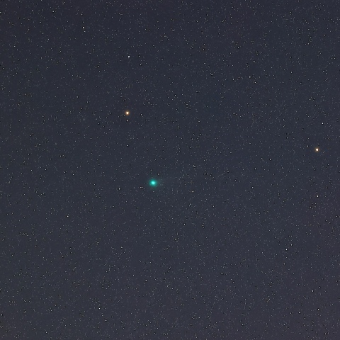 ポン･ブルックス彗星（12P）