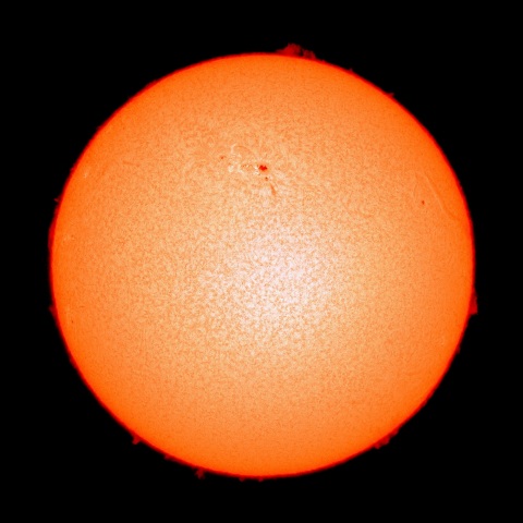 ２月２４日の太陽面（Ｈα像）